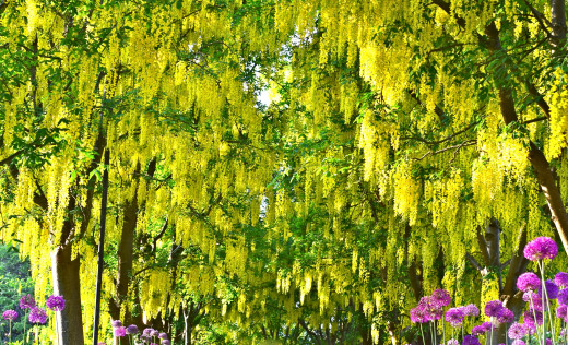 948130 (a): :2400x1454